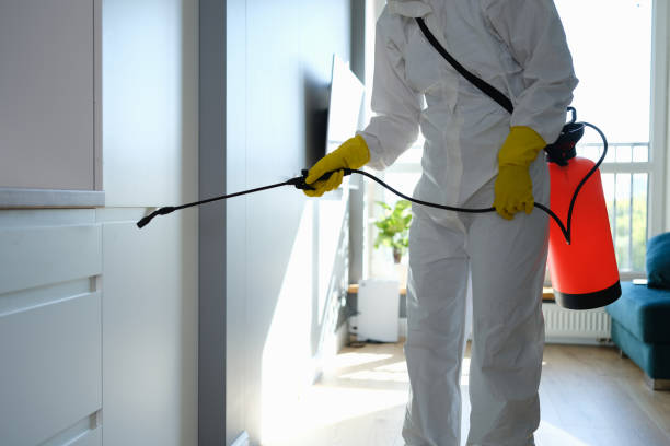 Mold Remediation for Vacation Homes in West Park, CA